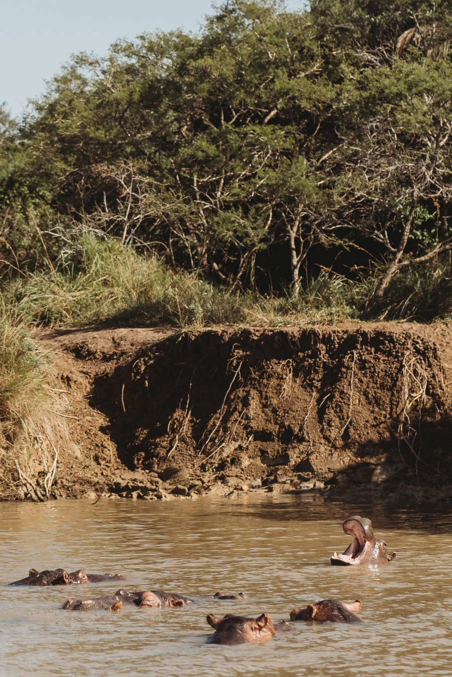 FIH Fotografie » Zuid Afrika